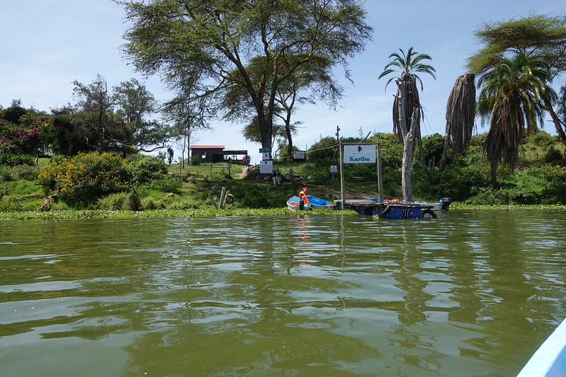 Crescent Island in Lake Naivasha. Photo/ Sam Wilson